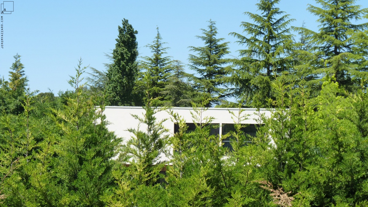 Conception d�une maison contemporaine � � travers champs � : insertion-paysage-maison-contemporaine-provence-azzaro-architecte-min